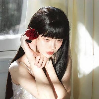 机智的公主殿下